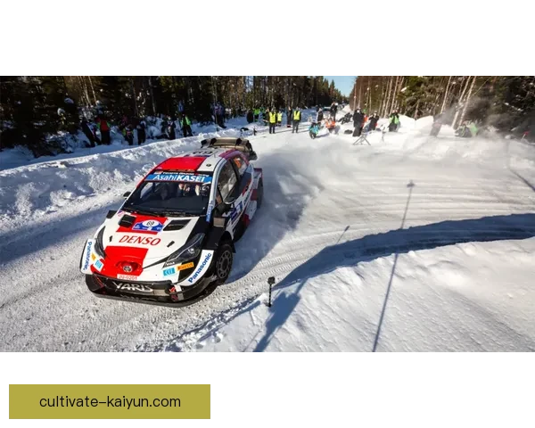 F1赛季最新动态聚焦车队变局与冠军之争前瞻解析热点追踪深度报道 F1赛季最新动态聚焦车队变局与冠军之争前瞻解析热点追踪深度报道