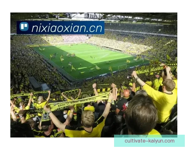 开云体育入口平台全面解析让您畅享全球体育赛事与娱乐体验