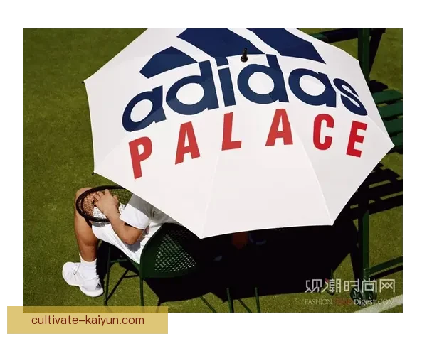 网球世界再掀热潮 赛季关键赛事前瞻与球员动态分析