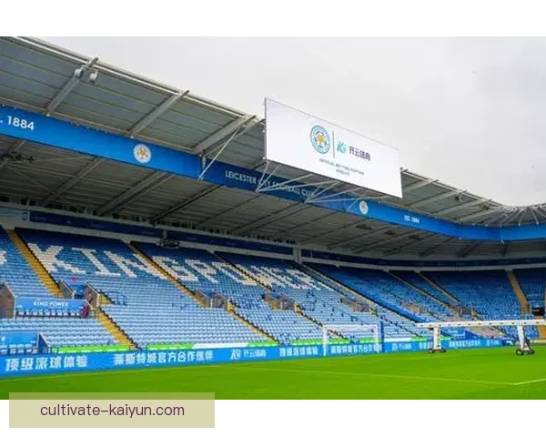 开云体育地址最新动态分析及平台发展前景探讨