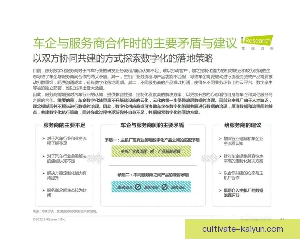 开云体育平台全面分析：探索数字化转型下的体育产业新机遇与挑战