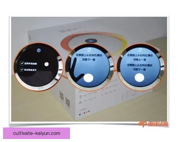 开云体育手机客户端功能全面支持多种设备随时随地畅享体育赛事直播