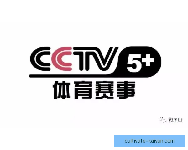 开云体育注册平台全程指导让你轻松畅享体育娱乐体验