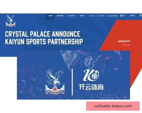 开云体育电子平台创新突破 引领数字娱乐行业新风潮