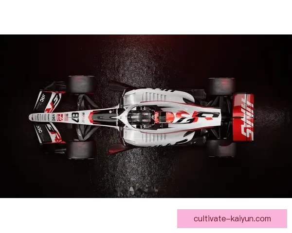 F1赛季最新动态：车队调整策略与车手表现全面解析