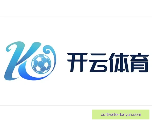 开云体育电脑全面评测与使用体验全方位解析指南