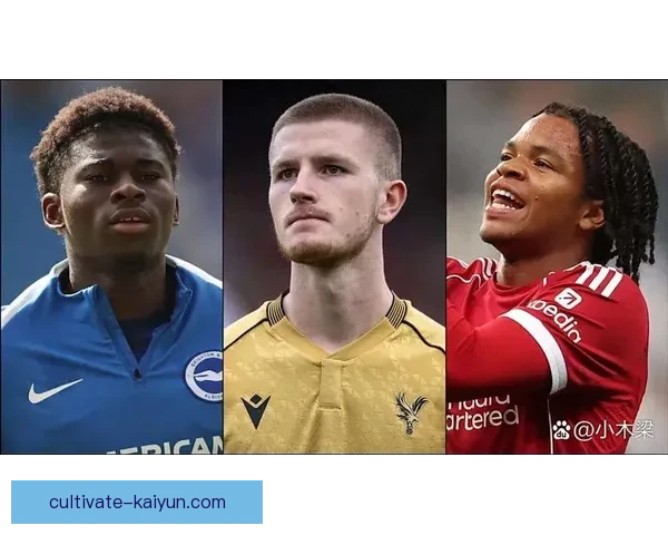《欧洲足坛新星崛起各大豪门争抢中 超级转会市场引发热议》
