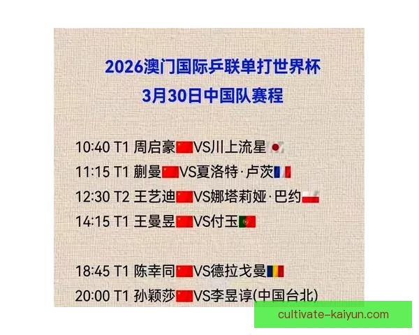 世界杯高清赛事直播免费观看全攻略与观看指南