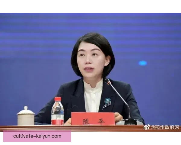 开云入口区域全面发展助力城市转型升级与创新驱动引领未来战略