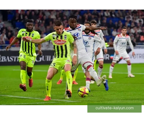 斯特拉斯堡俱乐部最新动态解析及未来赛季展望